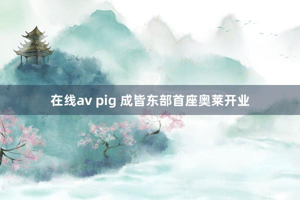 在线av pig 成皆东部首座奥莱开业