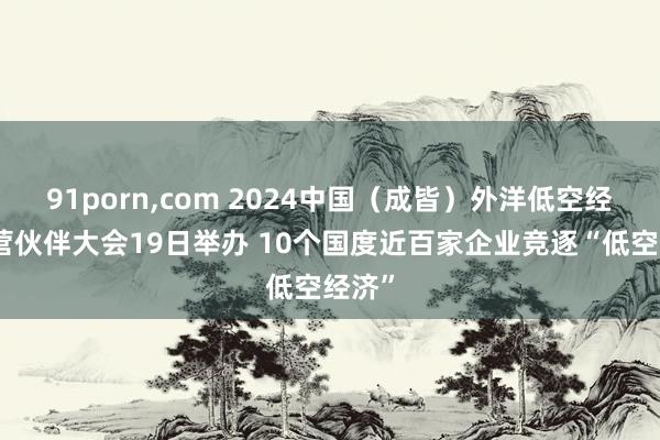 91porn，com 2024中国（成皆）外洋低空经济合营伙伴大会19日举办 10个国度近百家企业竞逐“低空经济”