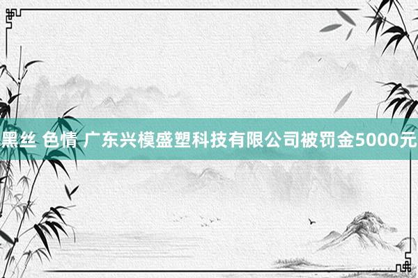 黑丝 色情 广东兴模盛塑科技有限公司被罚金5000元