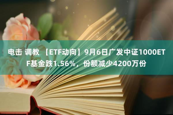 电击 调教 【ETF动向】9月6日广发中证1000ETF基金跌1.56%，份额减少4200万份