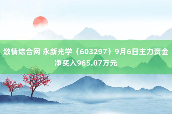 激情综合网 永新光学（603297）9月6日主力资金净买入965.07万元