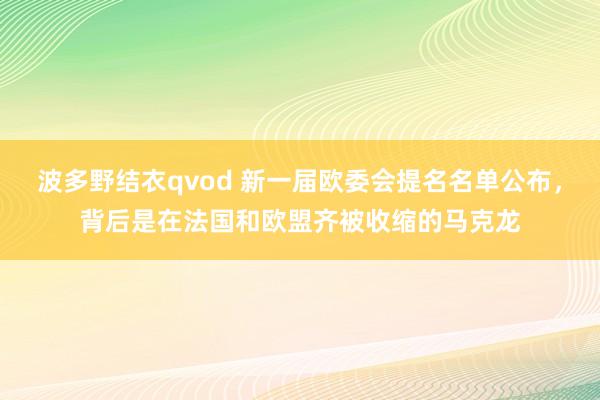 波多野结衣qvod 新一届欧委会提名名单公布，背后是在法国和欧盟齐被收缩的马克龙