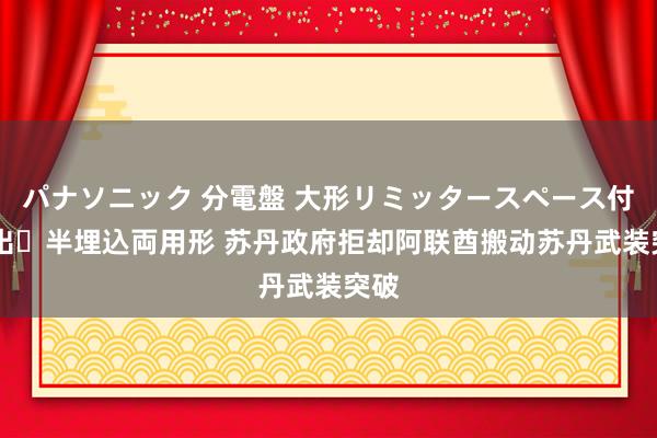 パナソニック 分電盤 大形リミッタースペース付 露出・半埋込両用形 苏丹政府拒却阿联酋搬动苏丹武装突破