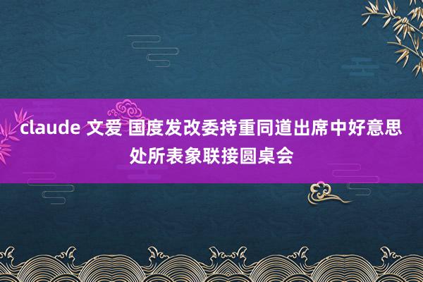 claude 文爱 国度发改委持重同道出席中好意思处所表象联接圆桌会