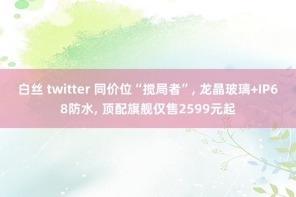 白丝 twitter 同价位“搅局者”, 龙晶玻璃+IP68防水, 顶配旗舰仅售2599元起