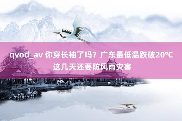 qvod_av 你穿长袖了吗？广东最低温跌破20℃ 这几天还要防风雨灾害