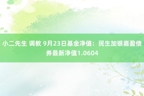 小二先生 调教 9月23日基金净值：民生加银嘉盈债券最新净值1.0604