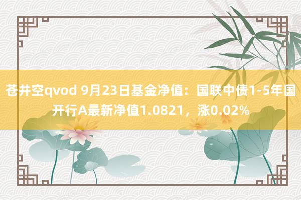 苍井空qvod 9月23日基金净值：国联中债1-5年国开行A最新净值1.0821，涨0.02%