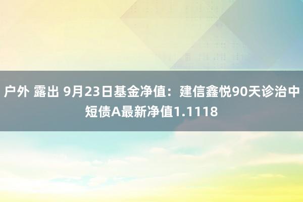 户外 露出 9月23日基金净值：建信鑫悦90天诊治中短债A最新净值1.1118