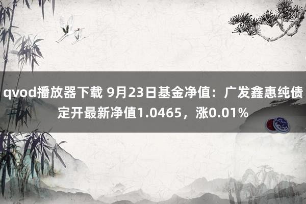 qvod播放器下载 9月23日基金净值：广发鑫惠纯债定开最新净值1.0465，涨0.01%