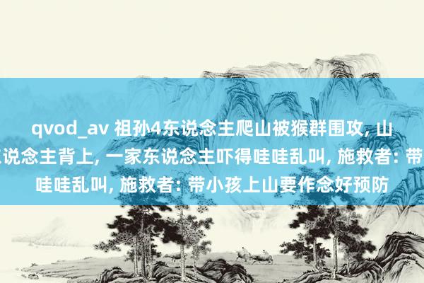 qvod_av 祖孙4东说念主爬山被猴群围攻, 山公飞踹孩子还爬到大东说念主背上, 一家东说念主吓得哇哇乱叫, 施救者: 带小孩上山要作念好预防