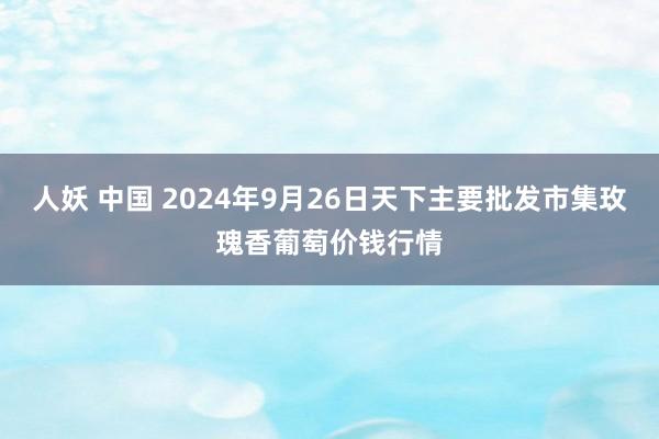 人妖 中国 2024年9月26日天下主要批发市集玫瑰香葡萄价钱行情