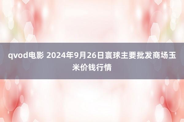 qvod电影 2024年9月26日寰球主要批发商场玉米价钱行情