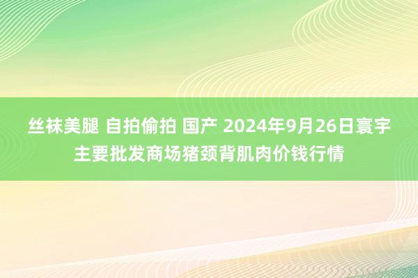 丝袜美腿 自拍偷拍 国产 2024年9月26日寰宇主要批发商场猪颈背肌肉价钱行情