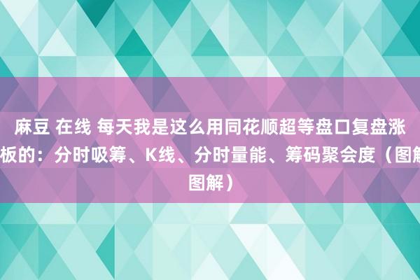 麻豆 在线 每天我是这么用同花顺超等盘口复盘涨停板的：分时吸筹、K线、分时量能、筹码聚会度（图解）