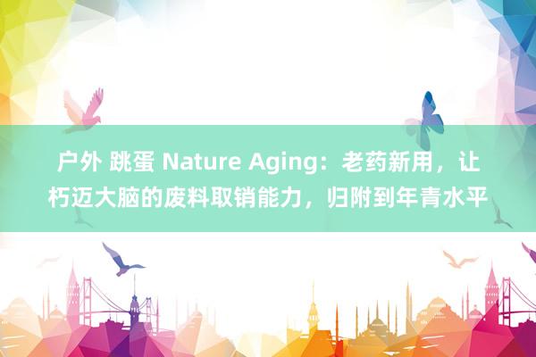 户外 跳蛋 Nature Aging：老药新用，让朽迈大脑的废料取销能力，归附到年青水平