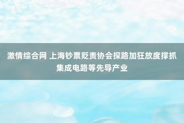 激情综合网 上海钞票贬责协会探路加狂放度撑抓集成电路等先导产业