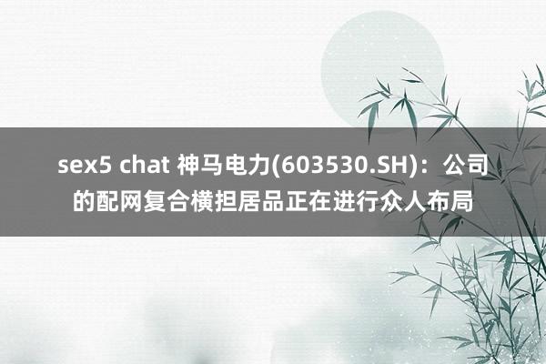 sex5 chat 神马电力(603530.SH)：公司的配网复合横担居品正在进行众人布局