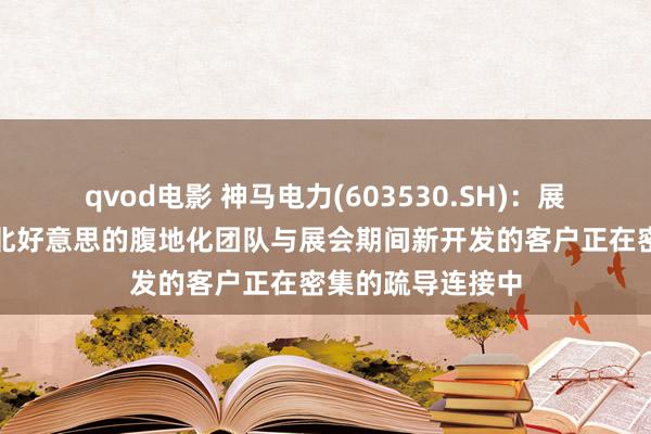 qvod电影 神马电力(603530.SH)：展会收尾后，公司北好意思的腹地化团队与展会期间新开发的客户正在密集的疏导连接中