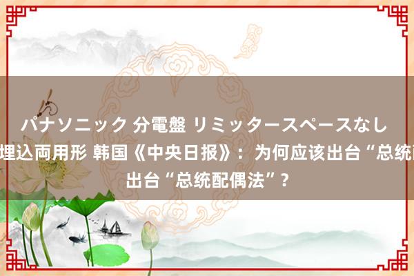 パナソニック 分電盤 リミッタースペースなし 露出・半埋込両用形 韩国《中央日报》：为何应该出台“总统配偶法”？