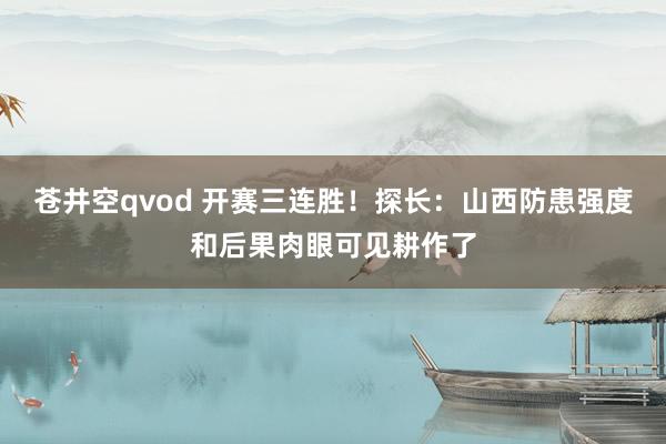 苍井空qvod 开赛三连胜！探长：山西防患强度和后果肉眼可见耕作了