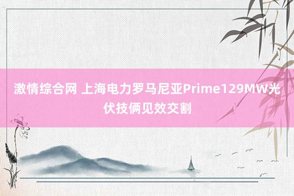 激情综合网 上海电力罗马尼亚Prime129MW光伏技俩见效交割