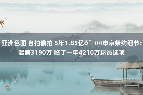 亚洲色图 自拍偷拍 5年1.85亿🤤申京条约细节：起薪3190万 临了一年4210万球员选项