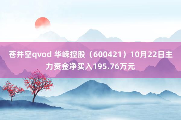 苍井空qvod 华嵘控股（600421）10月22日主力资金净买入195.76万元