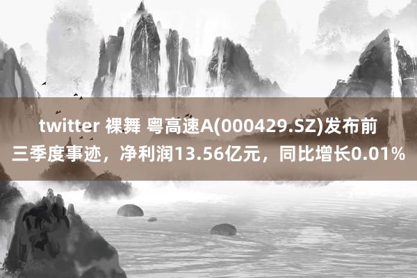 twitter 裸舞 粤高速A(000429.SZ)发布前三季度事迹，净利润13.56亿元，同比增长0.01%