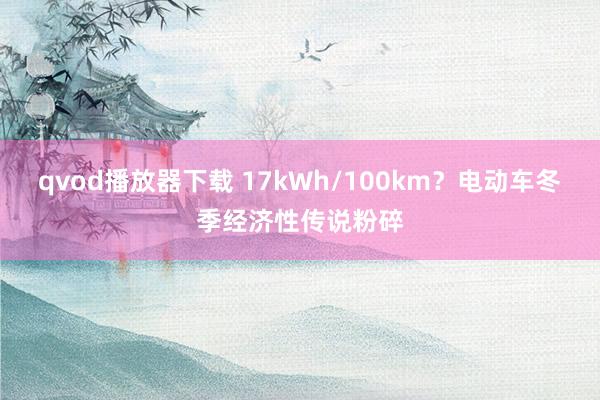 qvod播放器下载 17kWh/100km？电动车冬季经济性传说粉碎