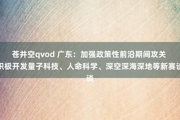 苍井空qvod 广东：加强政策性前沿期间攻关 积极开发量子科技、人命科学、深空深海深地等新赛谈