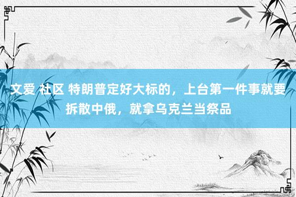 文爱 社区 特朗普定好大标的，上台第一件事就要拆散中俄，就拿乌克兰当祭品