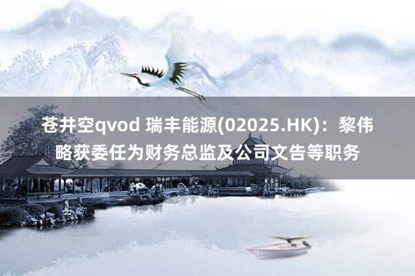 苍井空qvod 瑞丰能源(02025.HK)：黎伟略获委任为财务总监及公司文告等职务