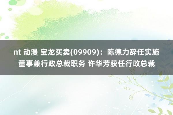 nt 动漫 宝龙买卖(09909)：陈德力辞任实施董事兼行政总裁职务 许华芳获任行政总裁