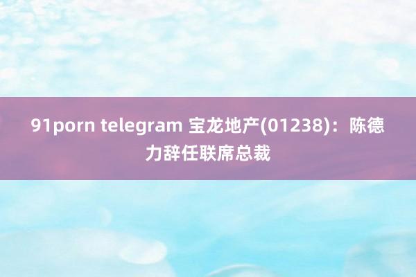 91porn telegram 宝龙地产(01238)：陈德力辞任联席总裁