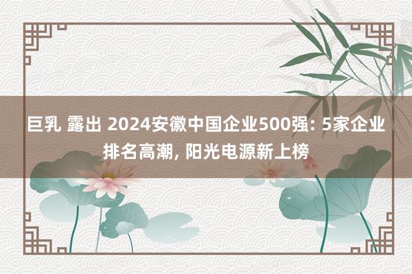 巨乳 露出 2024安徽中国企业500强: 5家企业排名高潮, 阳光电源新上榜