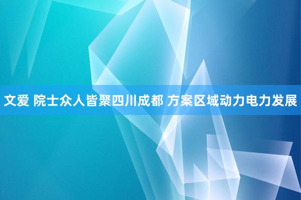 文爱 院士众人皆聚四川成都 方案区域动力电力发展