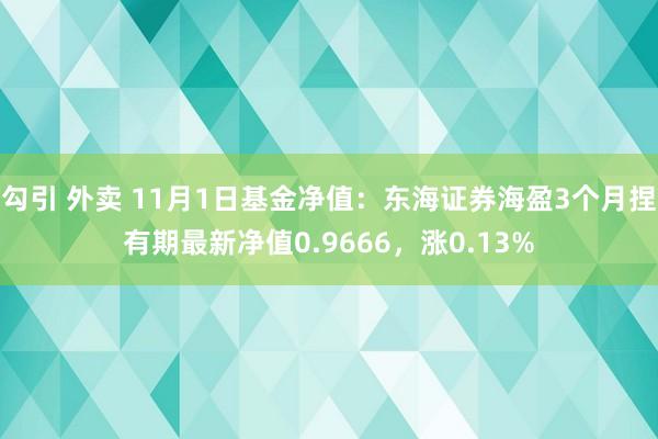 勾引 外卖 11月1日基金净值：东海证券海盈3个月捏有期最新净值0.9666，涨0.13%