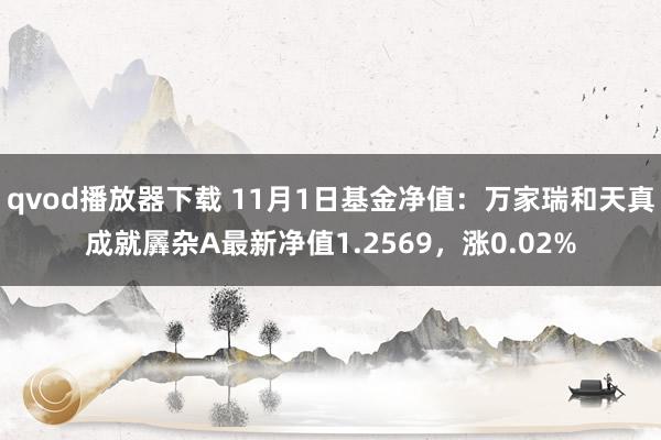 qvod播放器下载 11月1日基金净值：万家瑞和天真成就羼杂A最新净值1.2569，涨0.02%