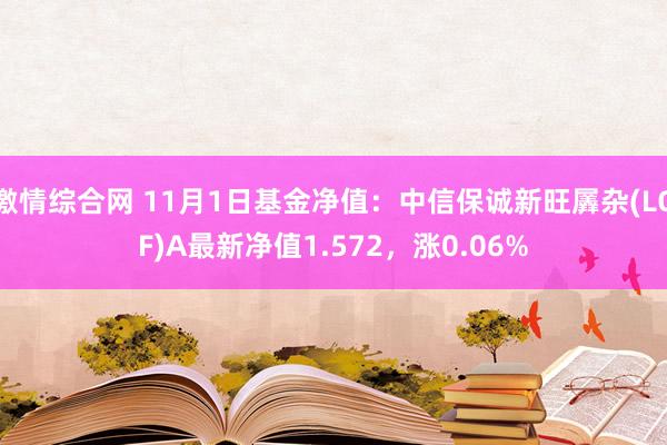 激情综合网 11月1日基金净值：中信保诚新旺羼杂(LOF)A最新净值1.572，涨0.06%