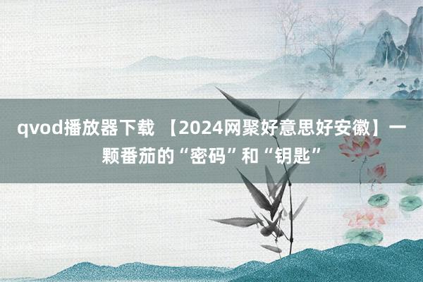 qvod播放器下载 【2024网聚好意思好安徽】一颗番茄的“密码”和“钥匙”