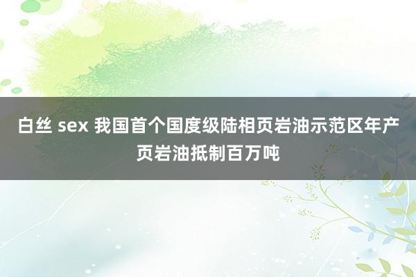 白丝 sex 我国首个国度级陆相页岩油示范区年产页岩油抵制百万吨