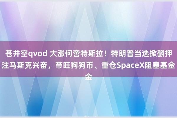 苍井空qvod 大涨何啻特斯拉！特朗普当选掀翻押注马斯克兴奋，带旺狗狗币、重仓SpaceX阻塞基金