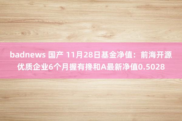 badnews 国产 11月28日基金净值：前海开源优质企业6个月握有搀和A最新净值0.5028