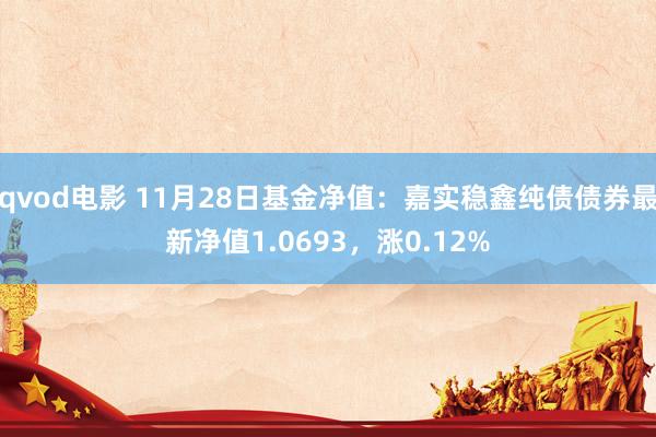 qvod电影 11月28日基金净值：嘉实稳鑫纯债债券最新净值1.0693，涨0.12%