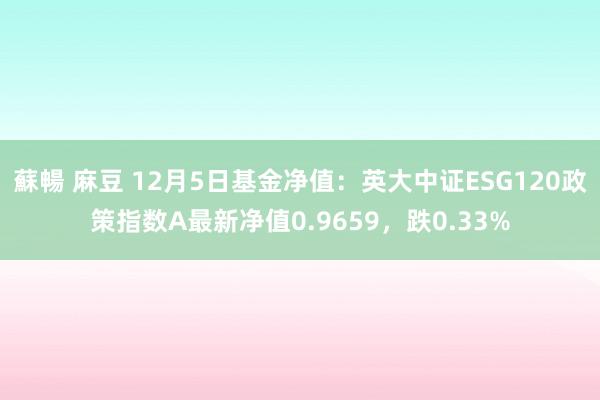 蘇暢 麻豆 12月5日基金净值：英大中证ESG120政策指数A最新净值0.9659，跌0.33%