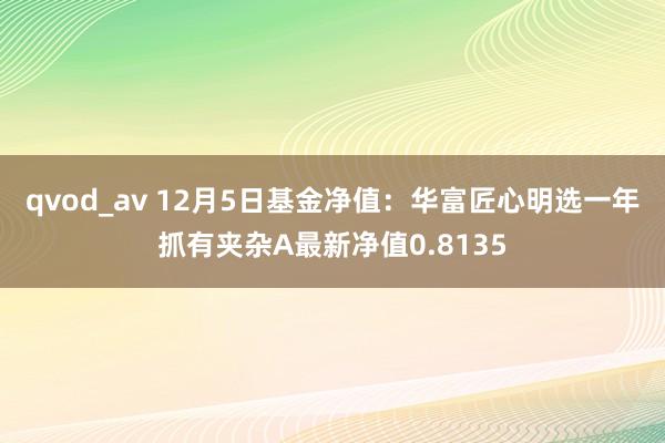 qvod_av 12月5日基金净值：华富匠心明选一年抓有夹杂A最新净值0.8135