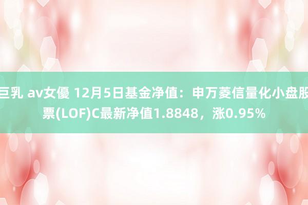 巨乳 av女優 12月5日基金净值：申万菱信量化小盘股票(LOF)C最新净值1.8848，涨0.95%