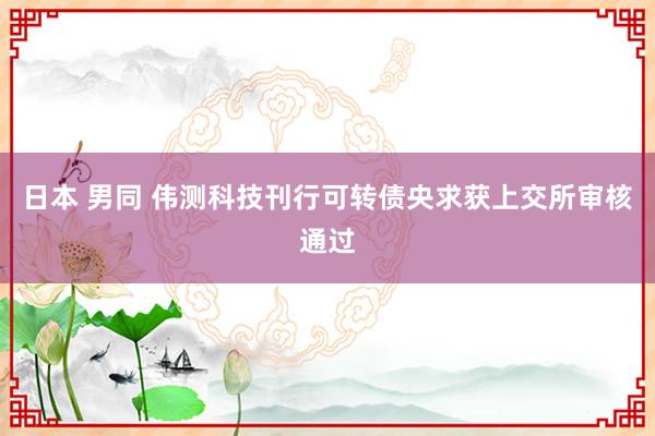 日本 男同 伟测科技刊行可转债央求获上交所审核通过