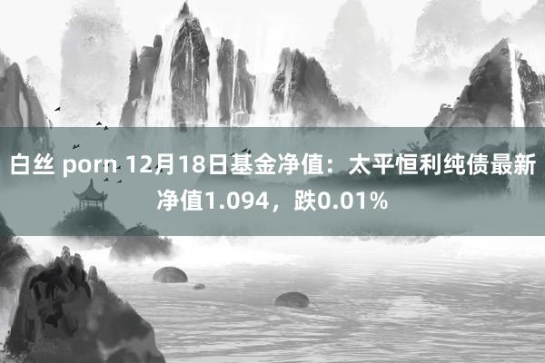 白丝 porn 12月18日基金净值：太平恒利纯债最新净值1.094，跌0.01%